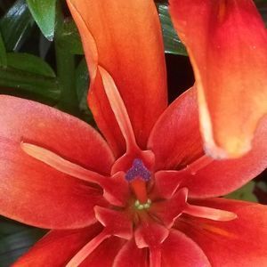 Meet your Posher, Kerigan